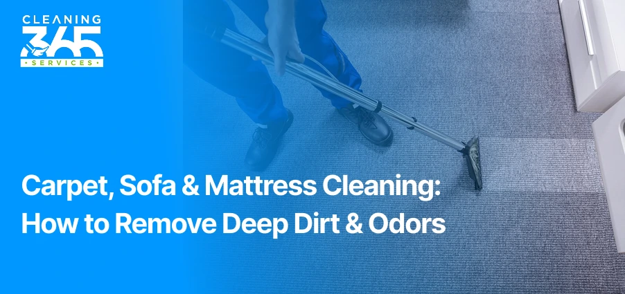 Carpet, Sofa & Mattress Cleaning: How to Remove Deep Dirt & Odors