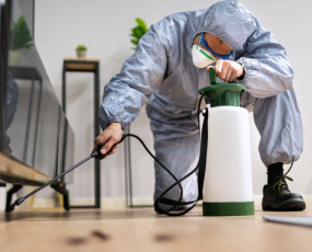 Pest Control Services